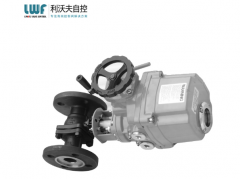 什么是电动成人午夜网站？选择时需注意哪些事项？