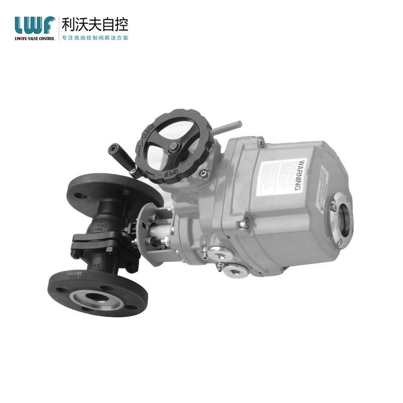 电动成人午夜网站