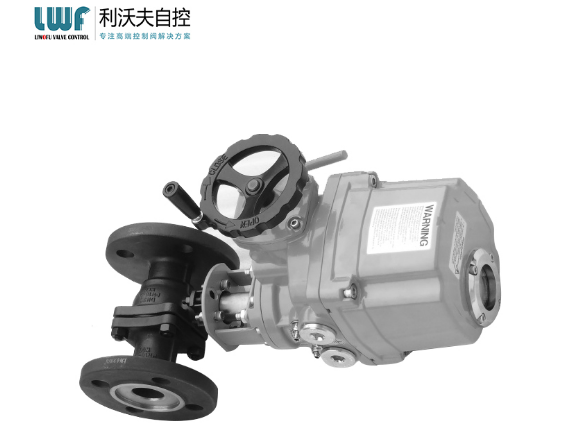 电动成人午夜网站